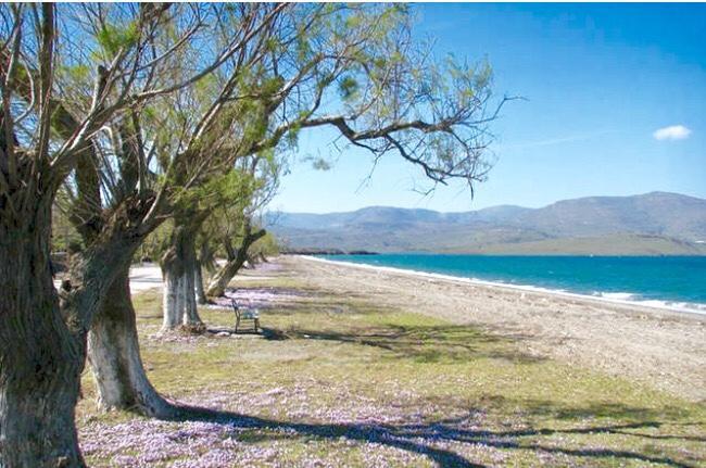 Marita Villa Lisvori Dış mekan fotoğraf